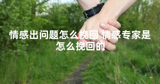情感出问题怎么挽回 情感专家是怎么挽回的